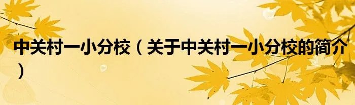 中关村一小分校（关于中关村一小分校的简介）