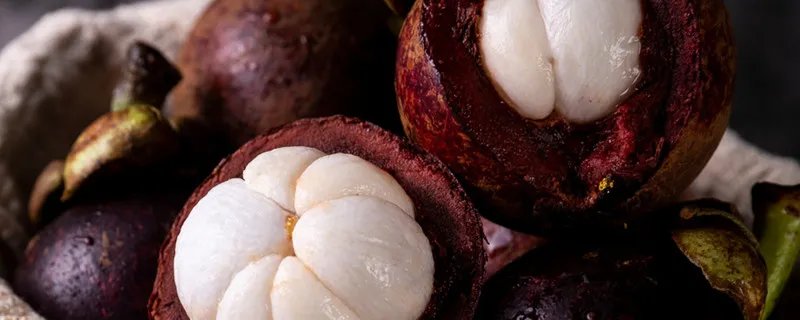 山竹长在土里还是树上 山竹是长在树上还是地上