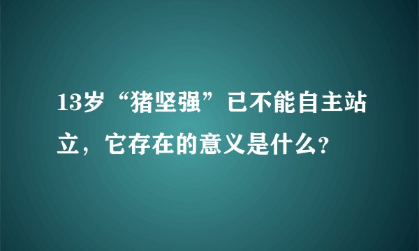 13岁“猪坚强”已不能自主站立，它存在的意义是什么？