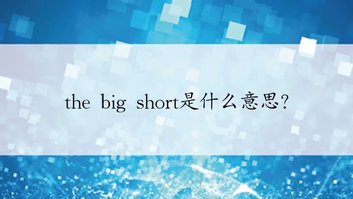 the big short是什么意思？