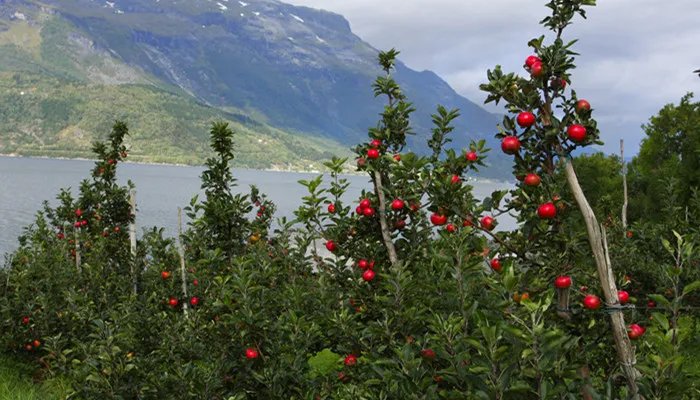 那拉提是什么意思 那拉提是什么意思啊