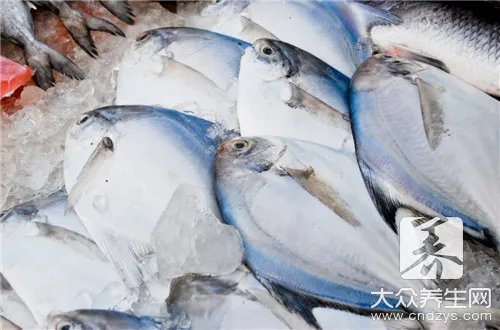  鳖肉与什么一起吃最好