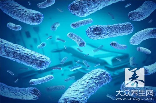 肉毒杆菌是什么东西