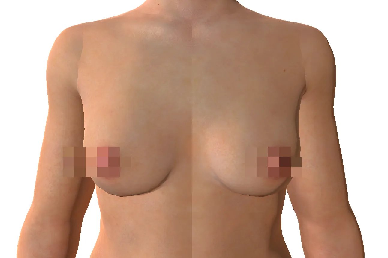 胸部位置图