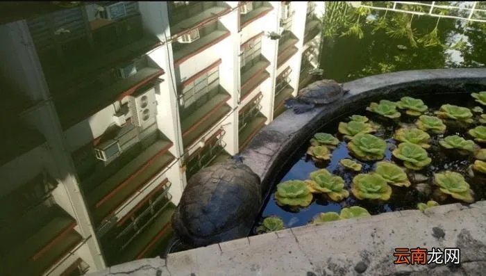 13张视觉错误照片 视觉错误图片