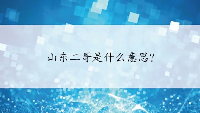 山东二哥是什么意思？