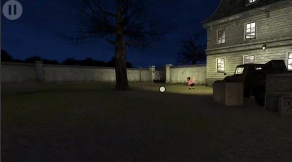 孤独的小猪好玩吗 孤独的小猪玩法简介