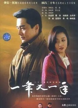 如何评价电视剧《一年又一年》？