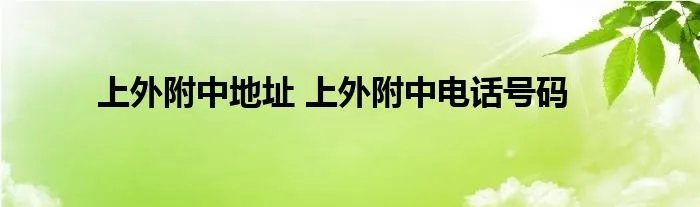 上外附中地址 上外附中电话号码