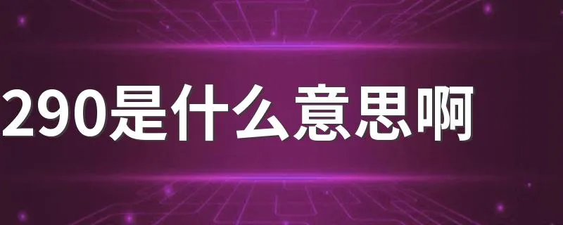 290是什么意思啊 290的意思是什么