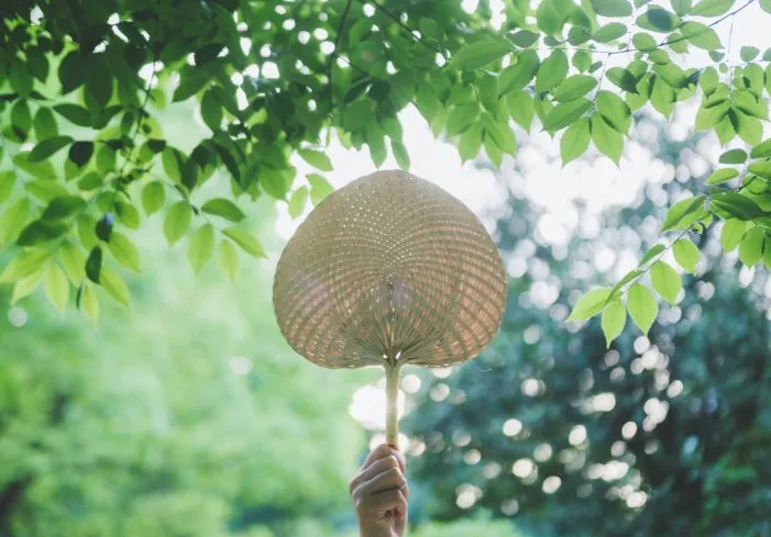 夏令时是几月到几月 夏令时是什么时候开始和结束