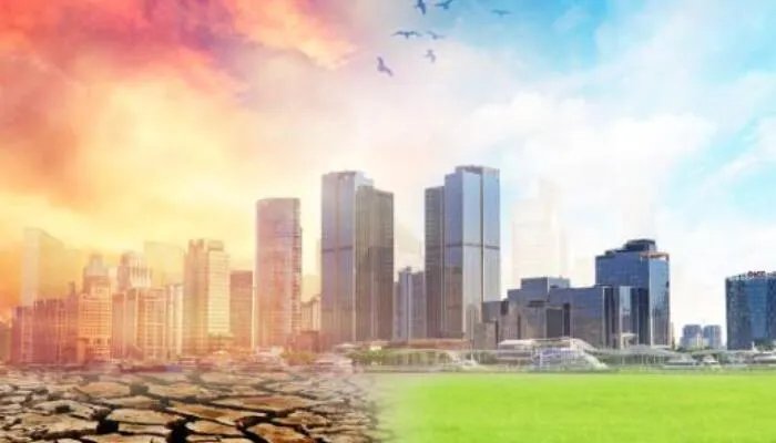 长颈鹿未来或将悄无声息灭绝 全球气温升高将致多物种失去栖息地