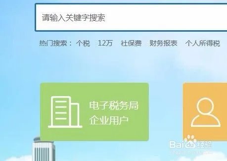 如何使用网页版申报个人所得税