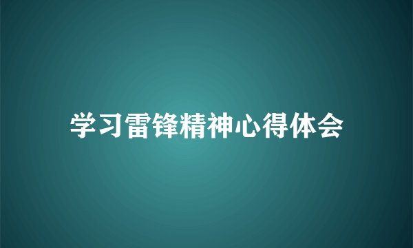 学习雷锋精神心得体会