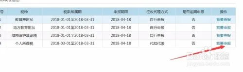 如何使用网页版申报个人所得税