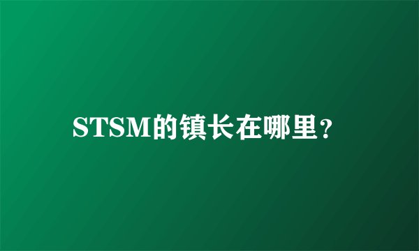 STSM的镇长在哪里？