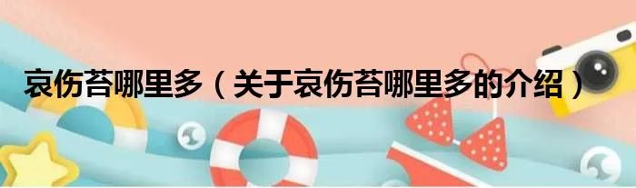哀伤苔哪里多（关于哀伤苔哪里多的介绍）