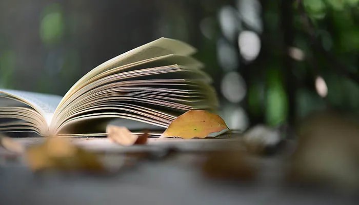 宋史赵普传全文翻译