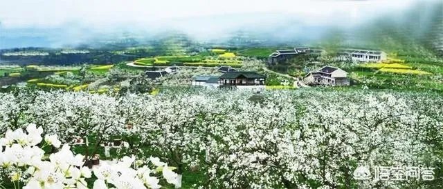 广元还有哪些旅游景点推荐?