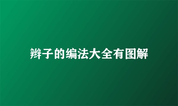 辫子的编法大全有图解