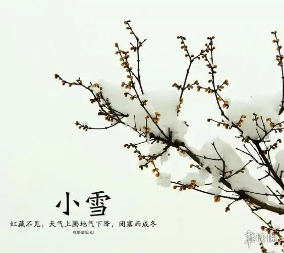 小雪节气图片大全 小雪节气高清壁纸分享