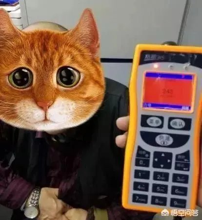 醉驾司机撞交警