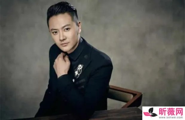 印小天演过的电视剧及电影有哪些 凭借这部影片获得最佳男配角