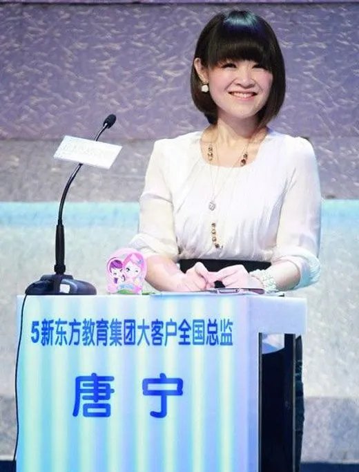 新东方唐宁老公王晨的资料背景 女强人有什么不一样之处