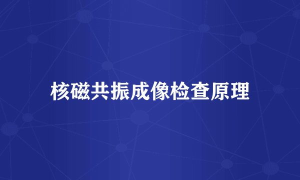 核磁共振成像检查原理