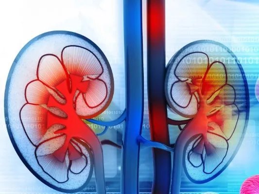 肾小管疾病是什么