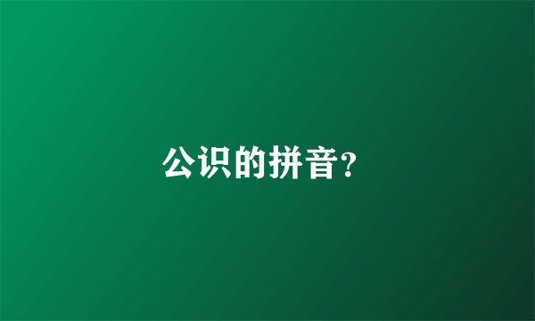 公识的拼音？