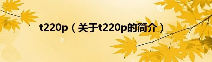 t220p（关于t220p的简介）