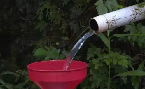 七夕水不变质的科学解释