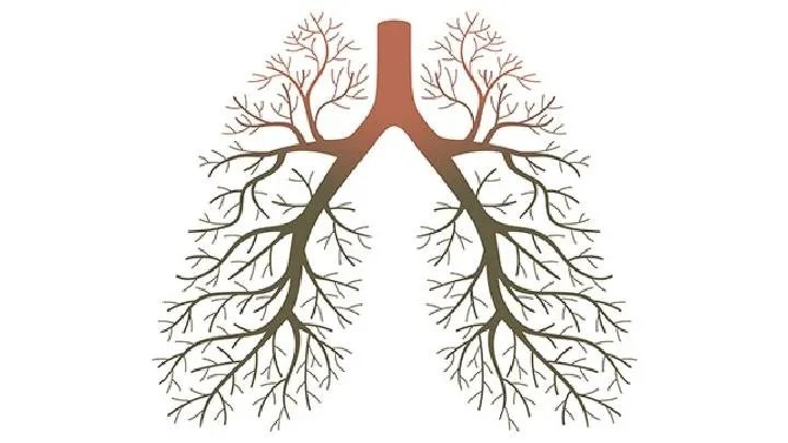 肺土拉菌病需要做哪些化验检查