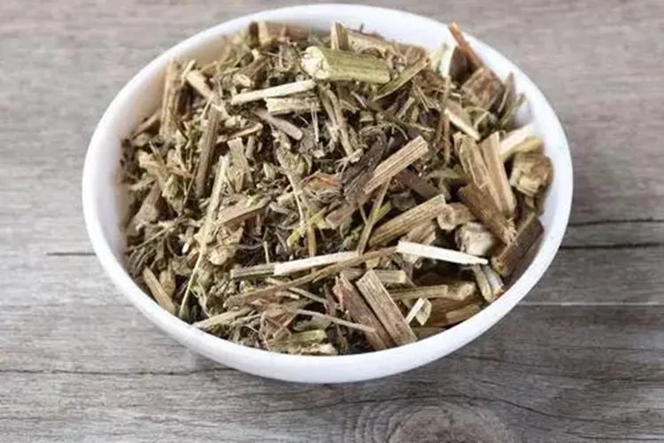 中药一枝黄花的图片