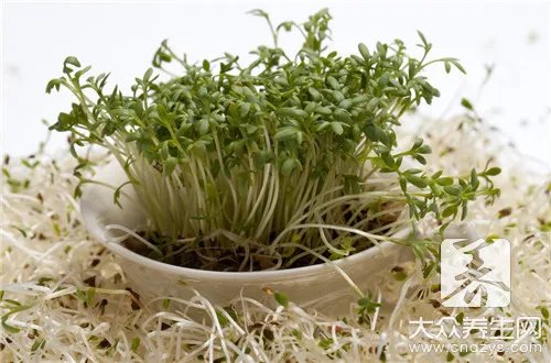 自己如何生绿豆芽
