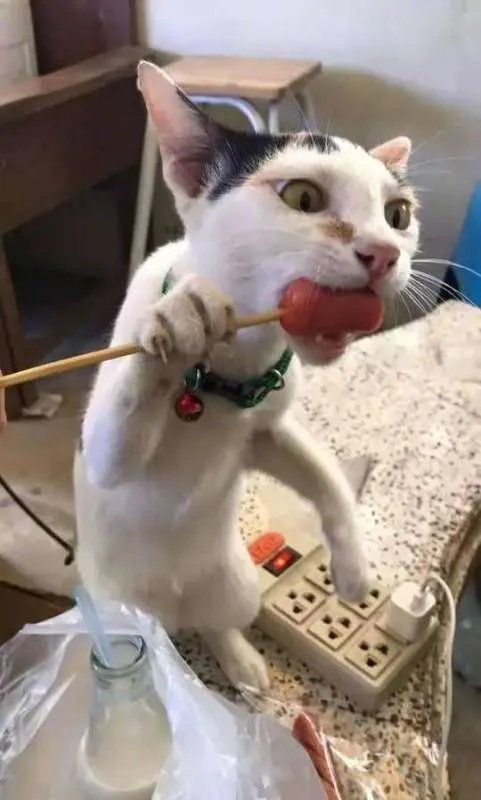 临沂有什么小姐