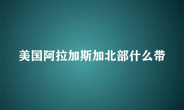 美国阿拉加斯加北部什么带