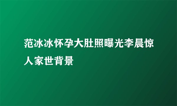 范冰冰怀孕大肚照曝光李晨惊人家世背景