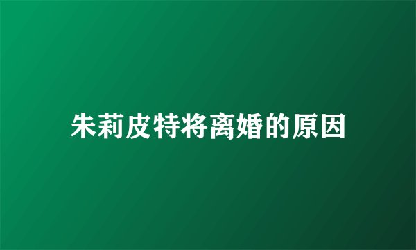 朱莉皮特将离婚的原因
