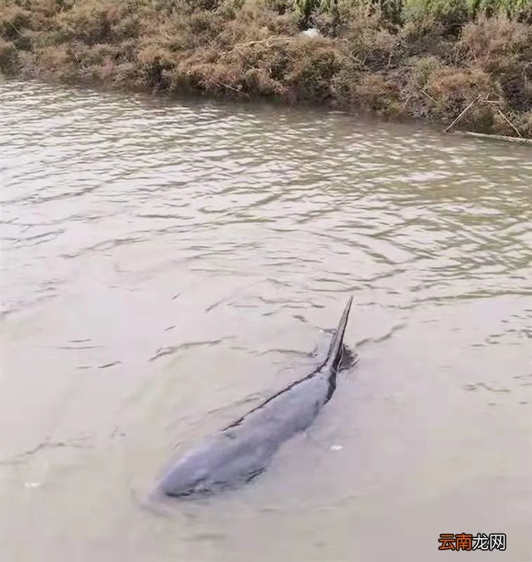 大连庄河海边 大连海边图片