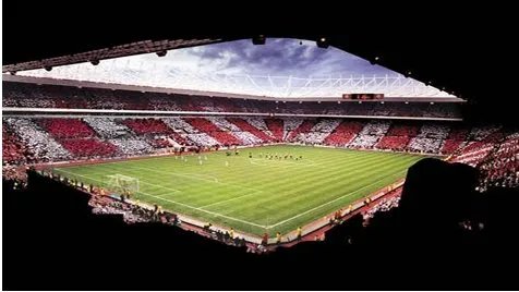 光明球场的介绍