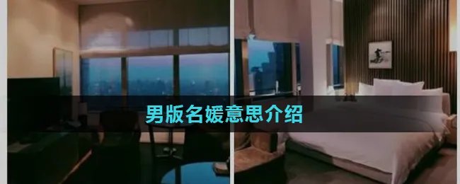 男版名媛意思介绍