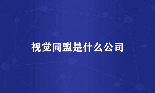 视觉同盟是什么公司