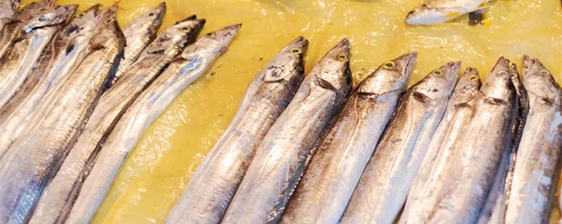 清江鱼产地在哪里