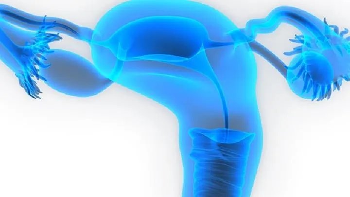 什么是子宫壁妊娠