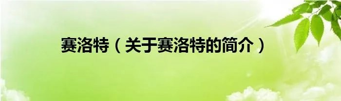 赛洛特（关于赛洛特的简介）