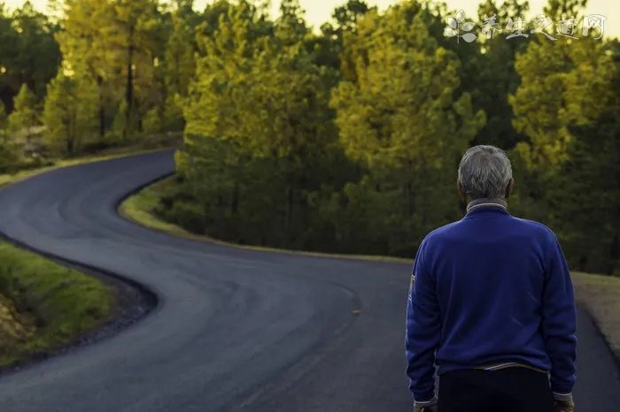土鳖虫养殖技术沼渣养殖
