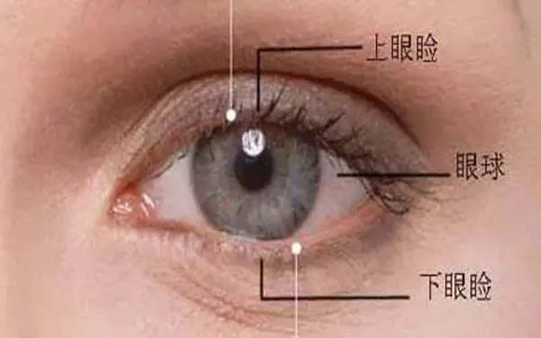 美瞳线价格一般多少