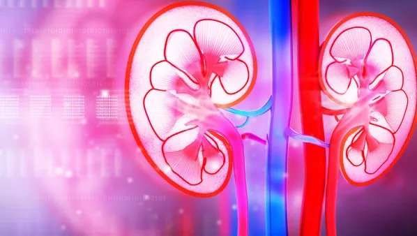 肾结石是怎样形成的